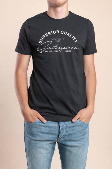 Ανδρικό βαμβακερό T-shirt, γκρι